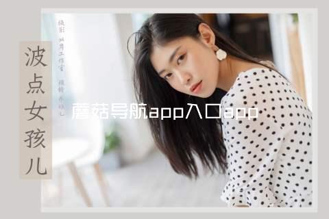 蘑菇导航app入口app